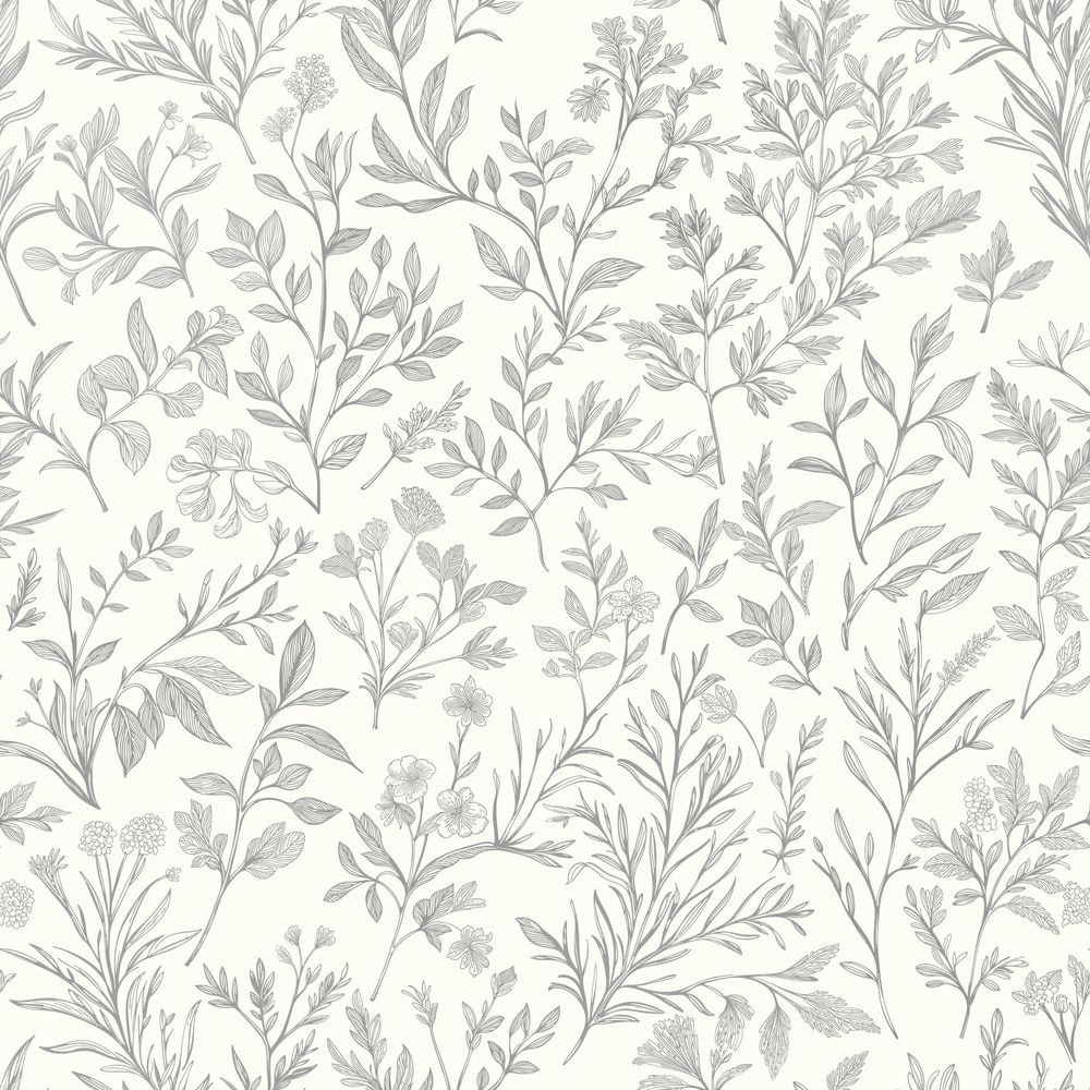 Image de Tessan Grey - 1060601-02
